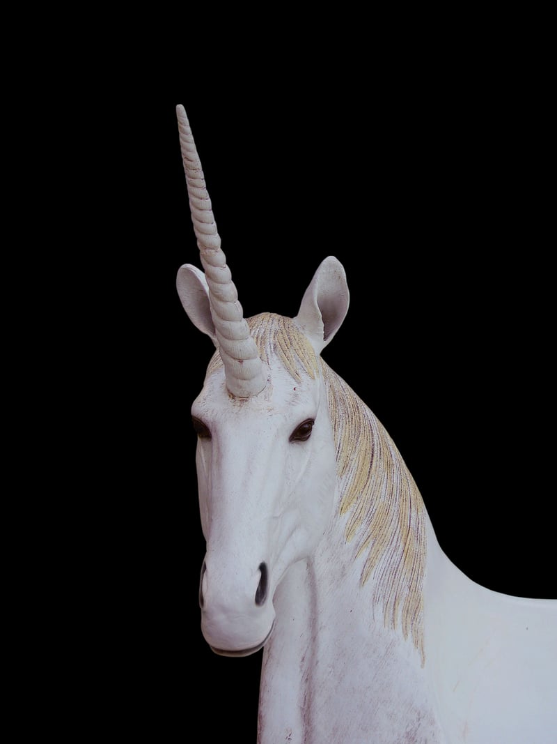 Unicorn Sanctuaries